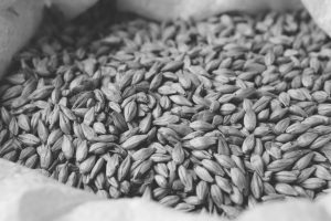 Caramel,Malt,In,A,Bag.,Craft,Beer,Brewing,From,Grain