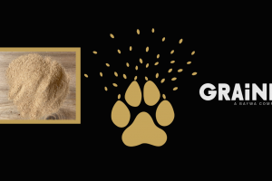 _Blog Banner (1920 × 696px) (Website) (1)