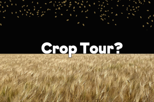 _Blog Banner (1920 × 696px) (Website) (1)