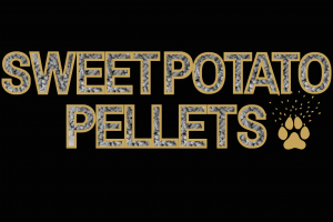 _Blog Banner (1920 × 696px) (Website) (2)