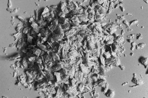 Texturiertes_EProtein3