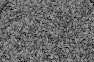 malt-gac61c7b85_1920whiteblack
