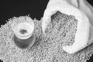 Craft,Beer,In,Glass,And,Grains,Of,Barley,Pale,Malt,